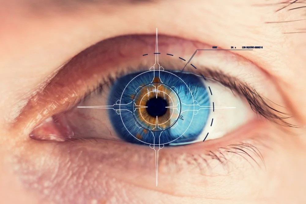 Understanding the Anatomy of the Retina: A Comprehensive Guide